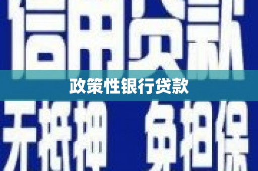 盘山政策性银行贷款