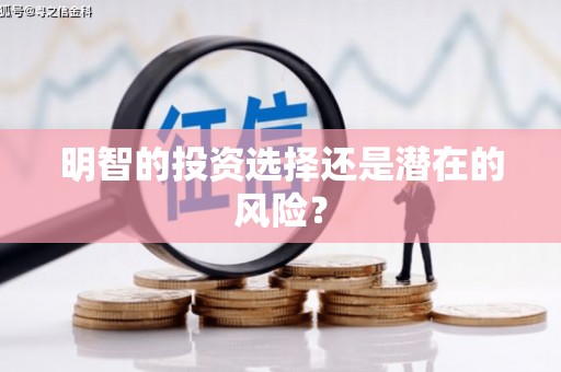 盘山明智的投资选择还是潜在的风险？