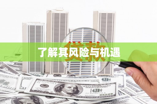 盘山了解其风险与机遇