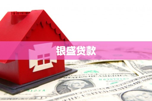 盘山银盛贷款