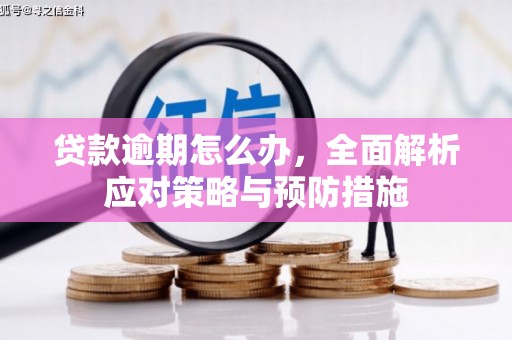 盘山贷款逾期怎么办，全面解析应对策略与预防措施