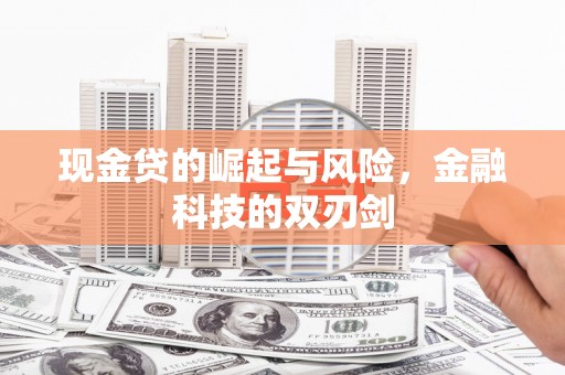 盘山现金贷的崛起与风险，金融科技的双刃剑