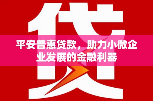 盘山平安普惠贷款，助力小微企业发展的金融利器