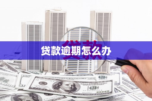 盘山贷款逾期怎么办