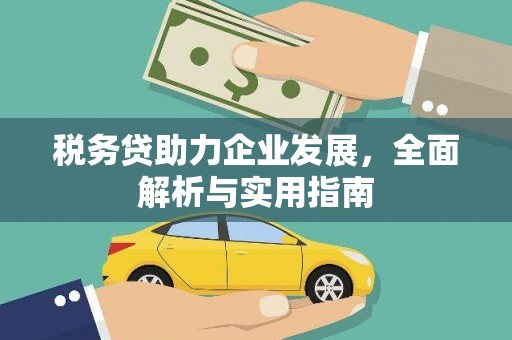 盘山税务贷助力企业发展，全面解析与实用指南