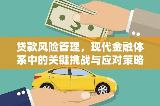 盘山贷款风险管理，现代金融体系中的关键挑战与应对策略