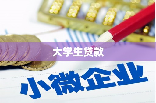 盘山大学生贷款
